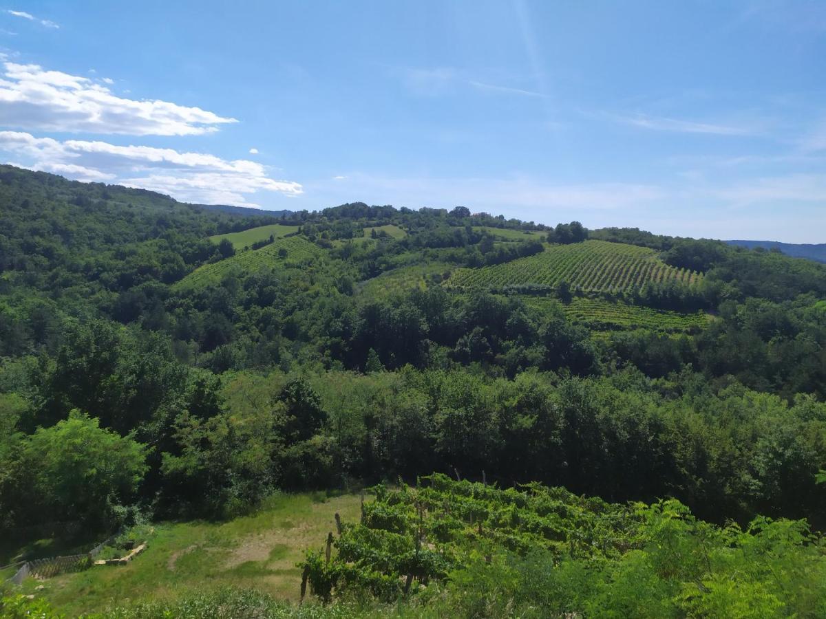 Apartma Suzy Pobegi Buitenkant foto