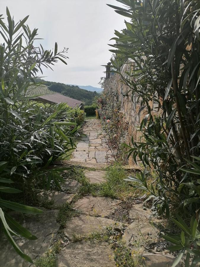 Apartma Suzy Pobegi Buitenkant foto